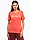A(z) Champion Koszulka damska SS Tee 117534 PS004 termékváltozat képe