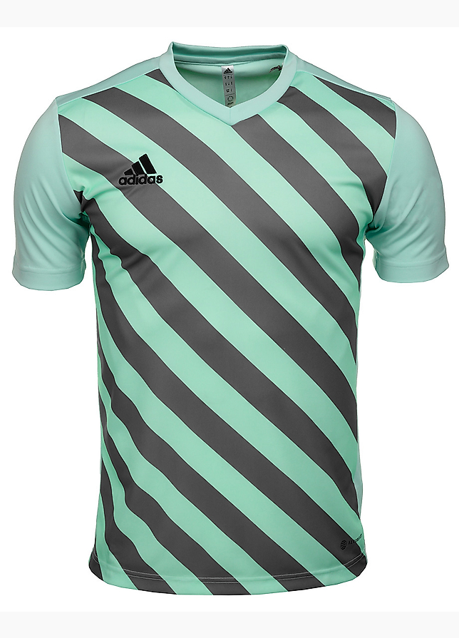 adidas Koszulka dla dzieci Entrada 22 Graphic Jersey HF0127 adidas Koszulka dla dzieci Entrada 22 Graphic Jersey HF0127