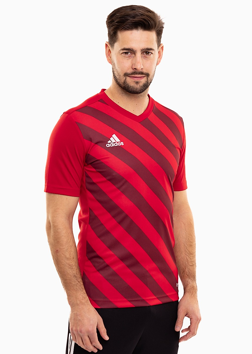 adidas Koszulka męska Entrada 22 Graphic Jersey HB0572