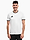 A(z) Koszulka męska adidas Entrada 26 Jersey JZ2508 termékváltozat képe