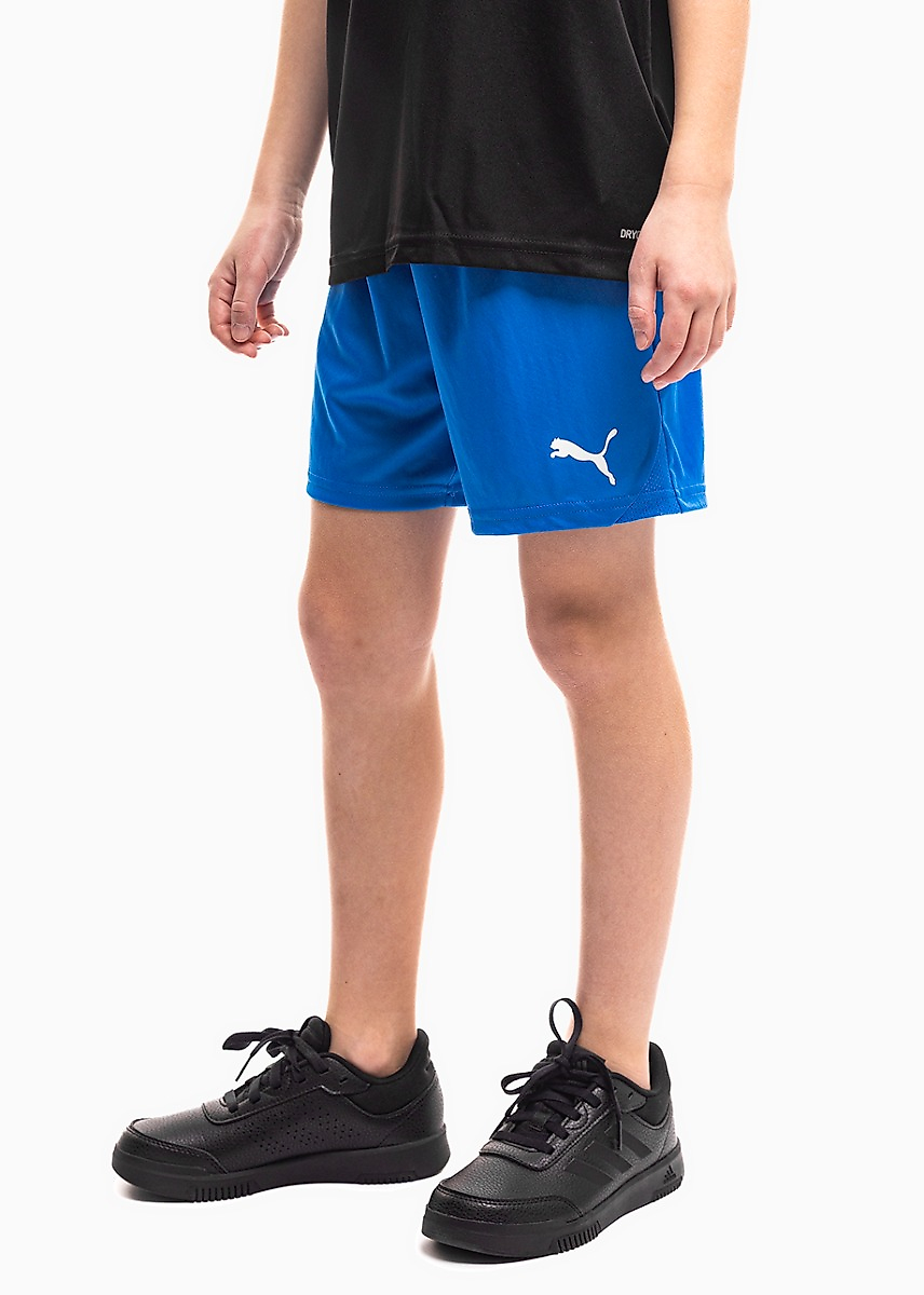 Puma Gyerek rövidnadrág Team Goal 705753 02